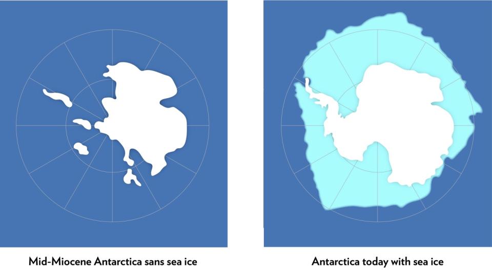 About 15 million years ago, when atmospheric carbon dioxide levels ranged from 400 to 600 ppms, Antarctica lacked sea ice (left). Today, the continent is surrounded by sea ice (right), which is threatened by climate change. <cite>Richard Levy</cite>